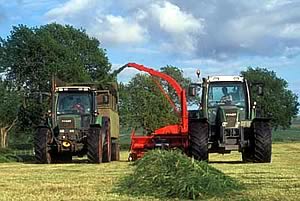 silage collection